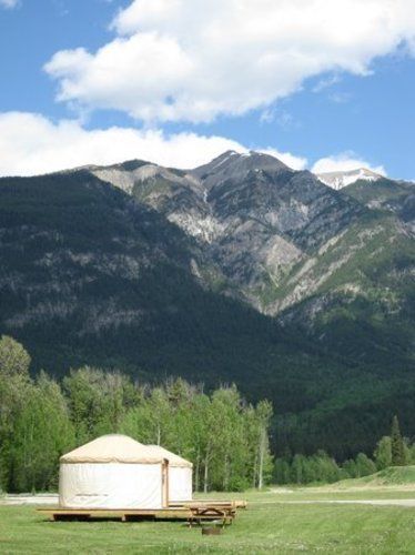 Appartement Golden Eco Adventure Ranch Extérieur photo